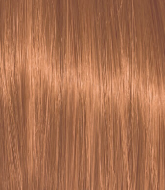 Color Action No 7.34