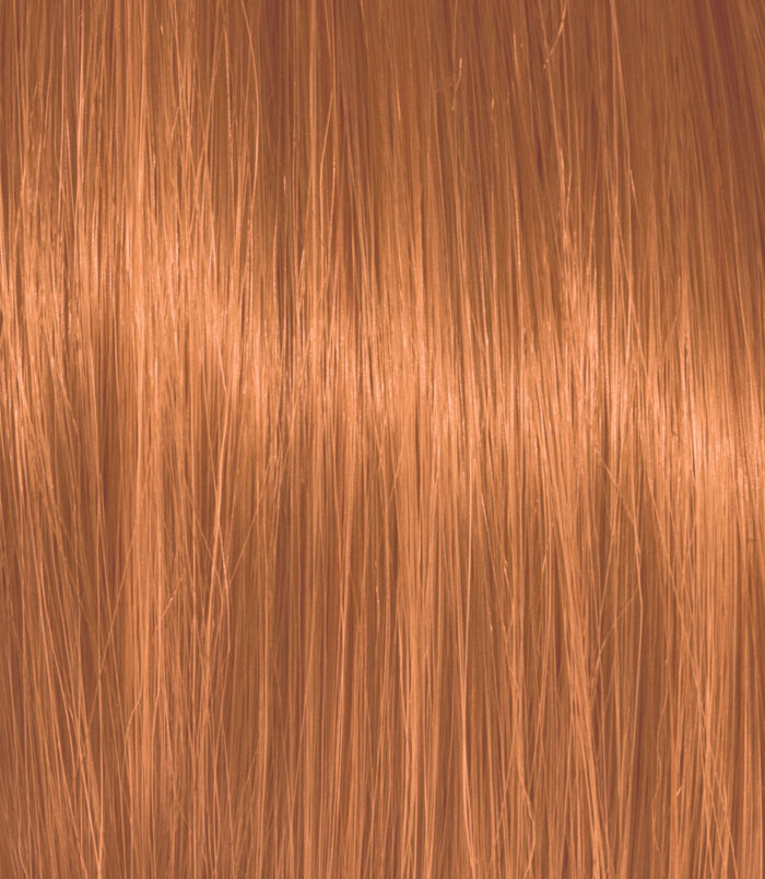 7-4_COLOR_ACTION 7-4_COLOR_ACTION