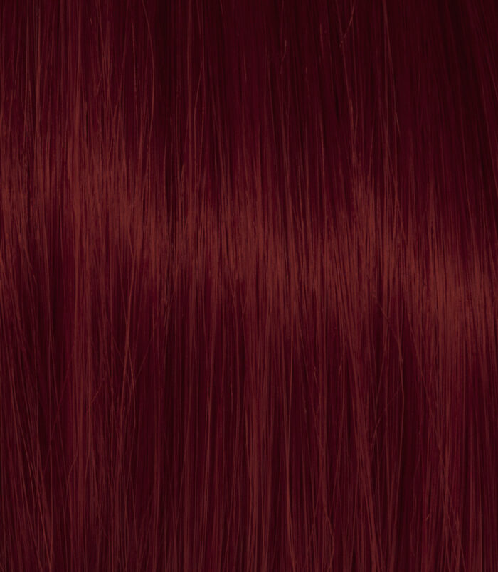 4-6_COLOR_ACTION_ARGAN