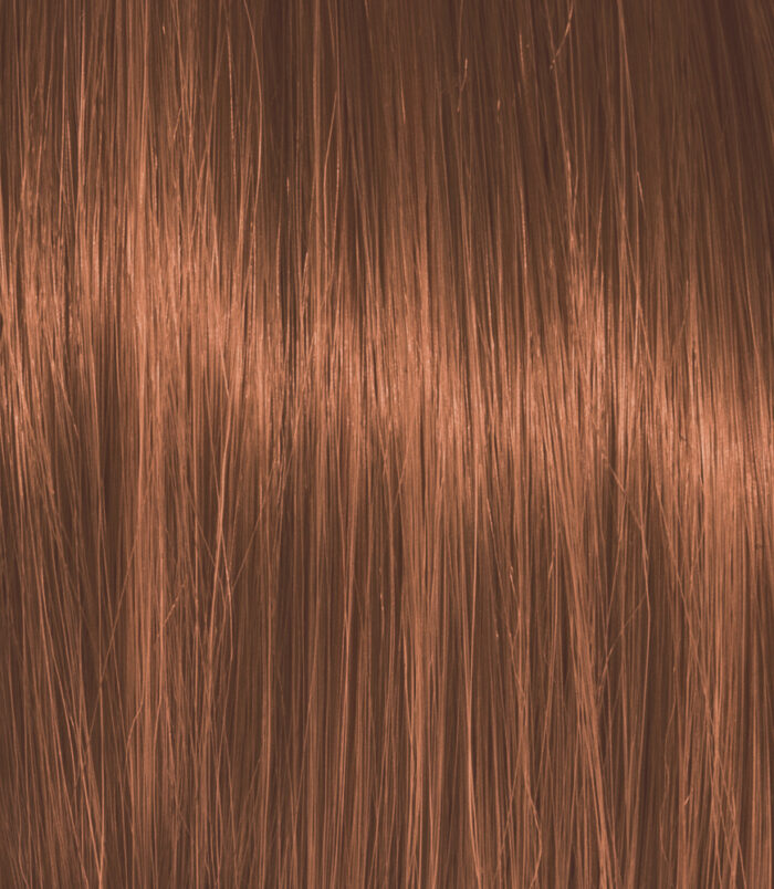 5-4_COLOR_ACTION_ARGAN