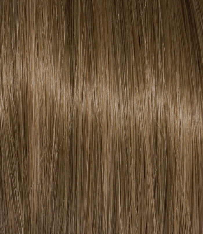 6-3_COLOR_ACTION_ARGAN 6-3_COLOR_ACTION_ARGAN