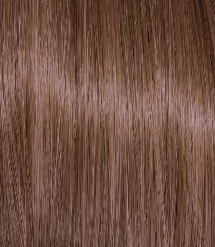 6-53_COLOR_ACTION_ARGAN 2 6-53_COLOR_ACTION_ARGAN 2