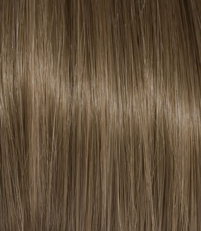 6_COLOR_ACTION_ARGAN