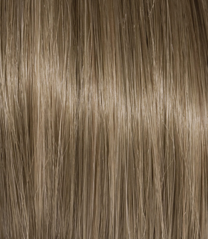 7-3_COLOR_ACTION_ARGAN