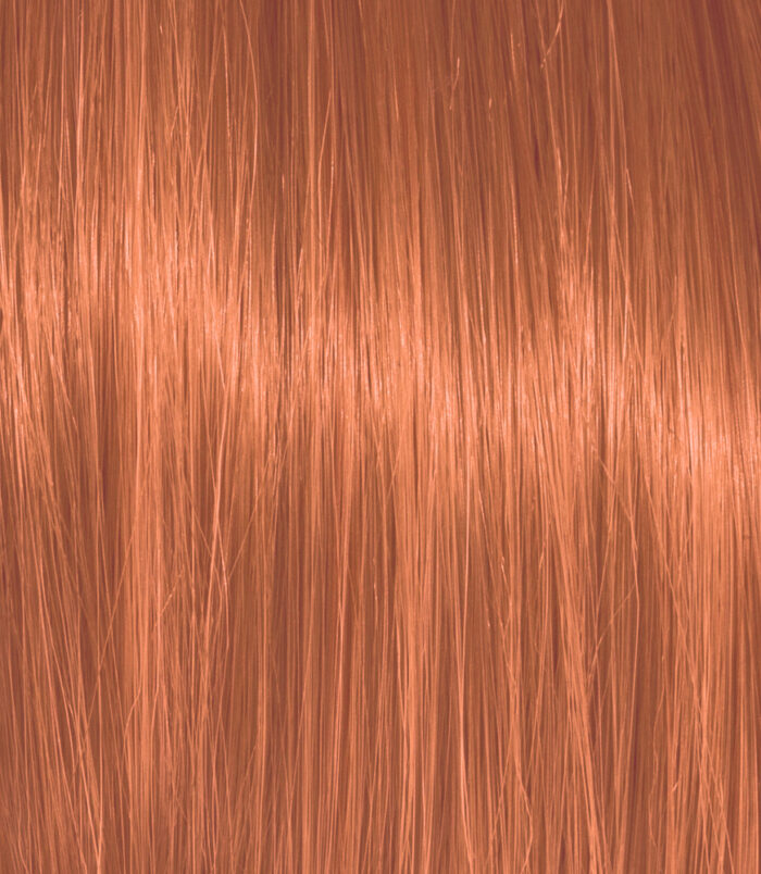 7-46_COLOR_ACTION_ARGAN