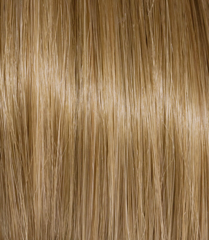 8-3_COLOR_ACTION_ARGAN