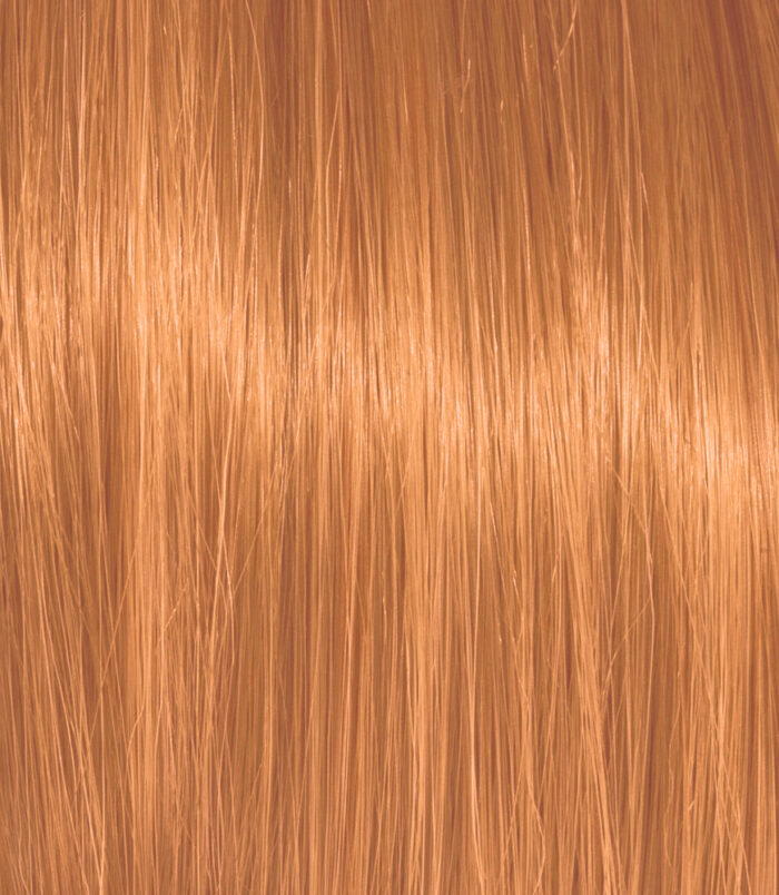 8-4_COLOR_ACTION_ARGAN