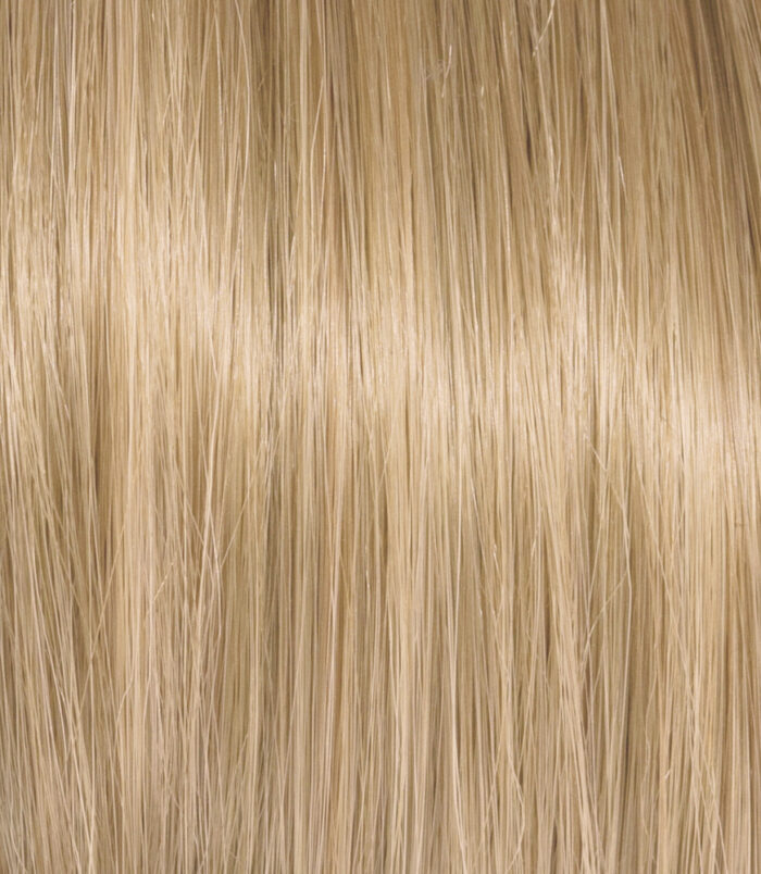 9_COLOR_ACTION_ARGAN 9_COLOR_ACTION_ARGAN